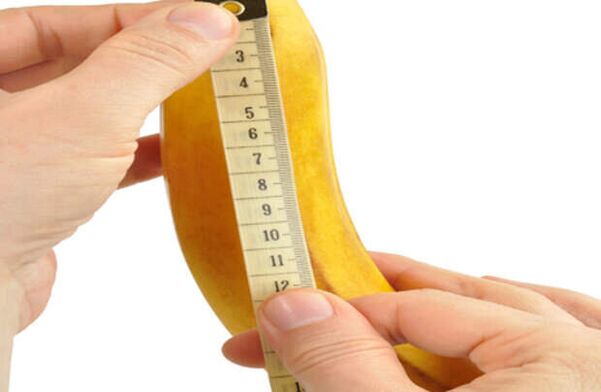 Measure the penis before enlarging it using the example of a banana